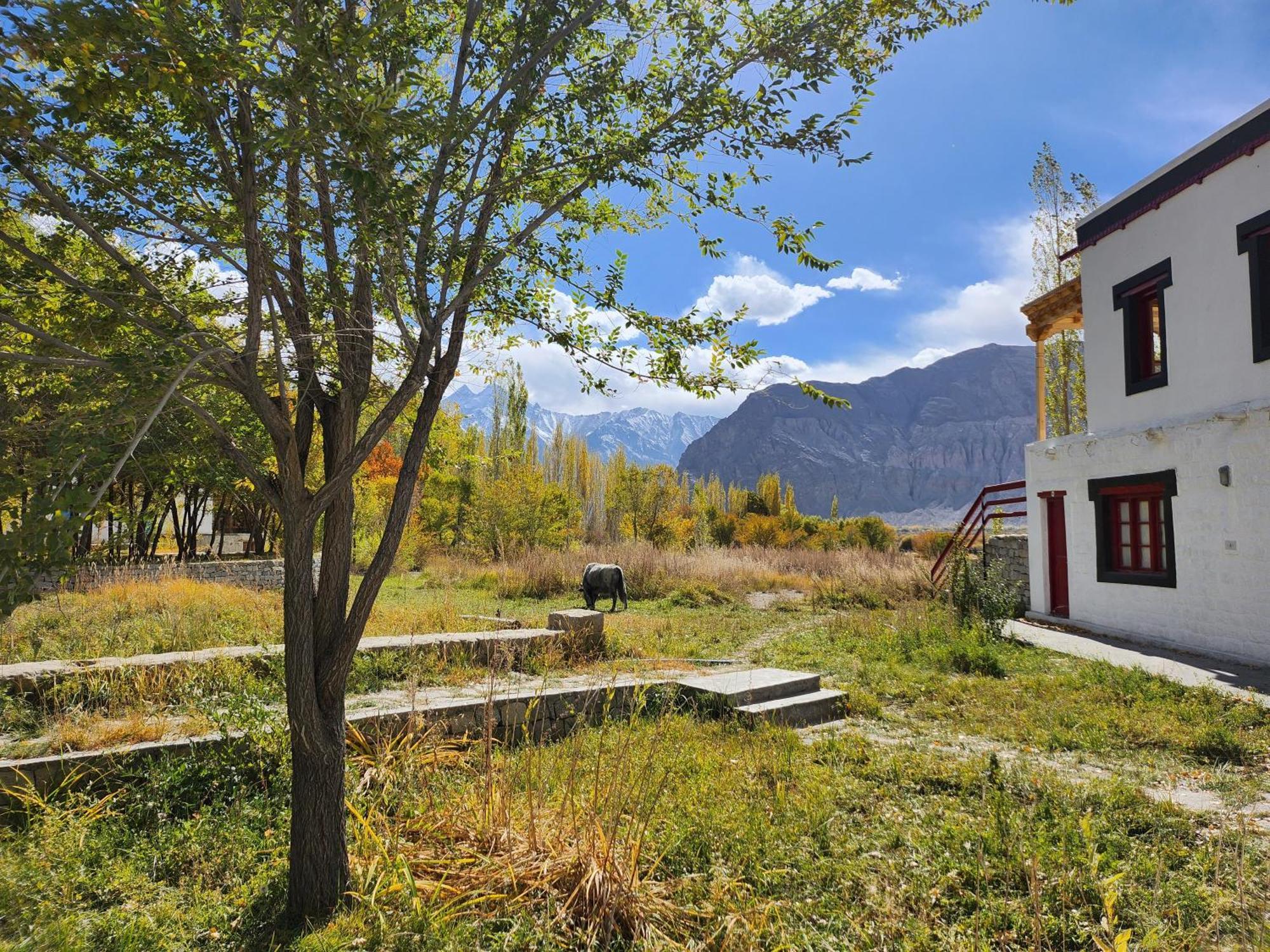 Lharimo Hotel Leh - Ladakh Exterior foto