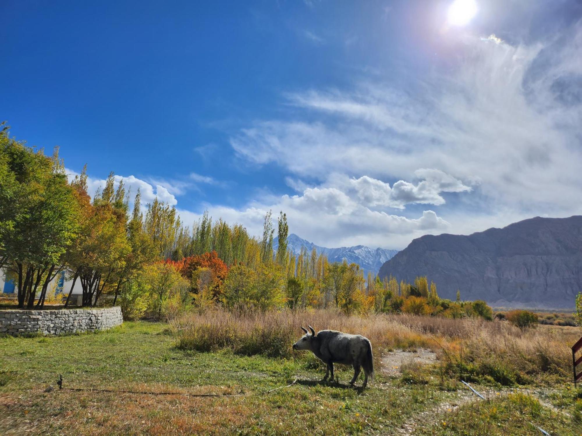 Lharimo Hotel Leh - Ladakh Exterior foto