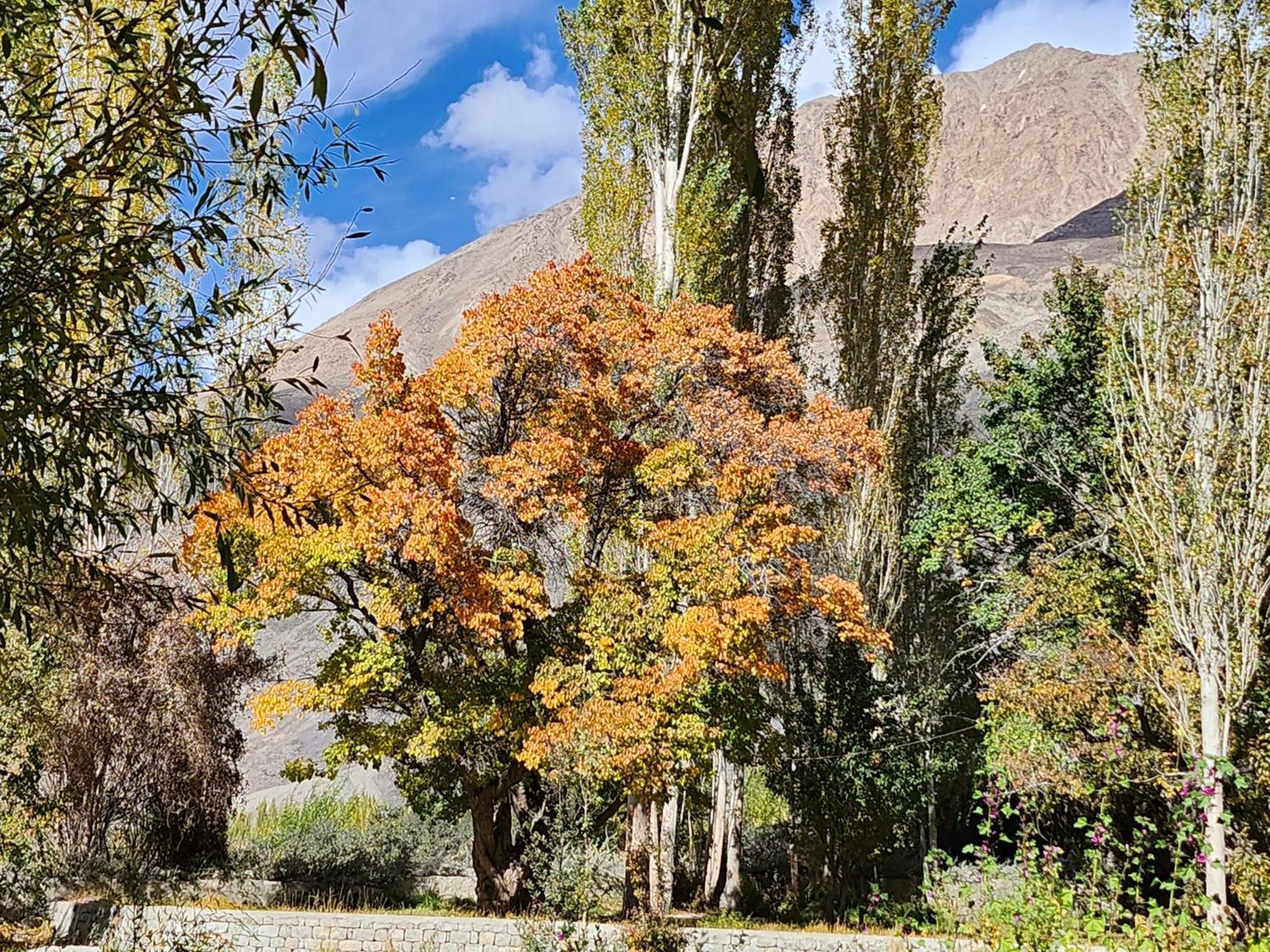 Lharimo Hotel Leh - Ladakh Exterior foto